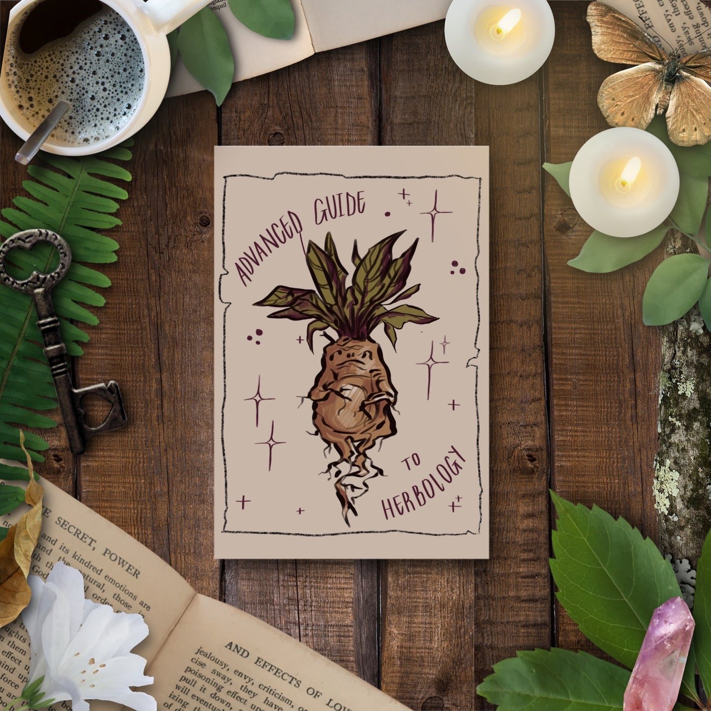 Mandrake Herbology Bundle