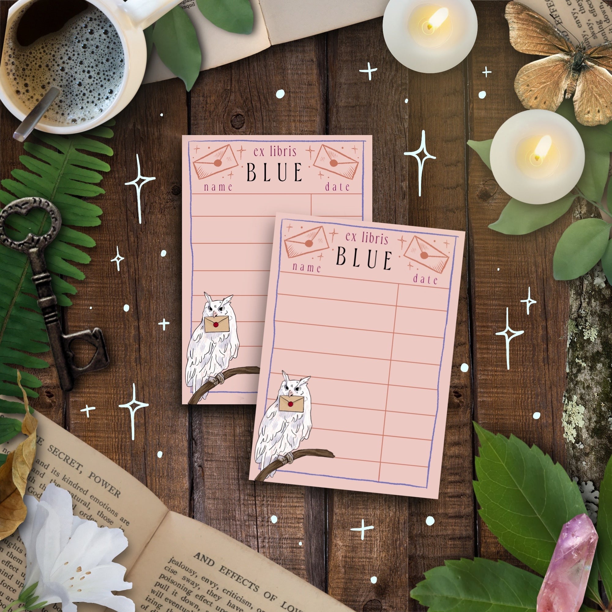 Owl Post Home Library Duo