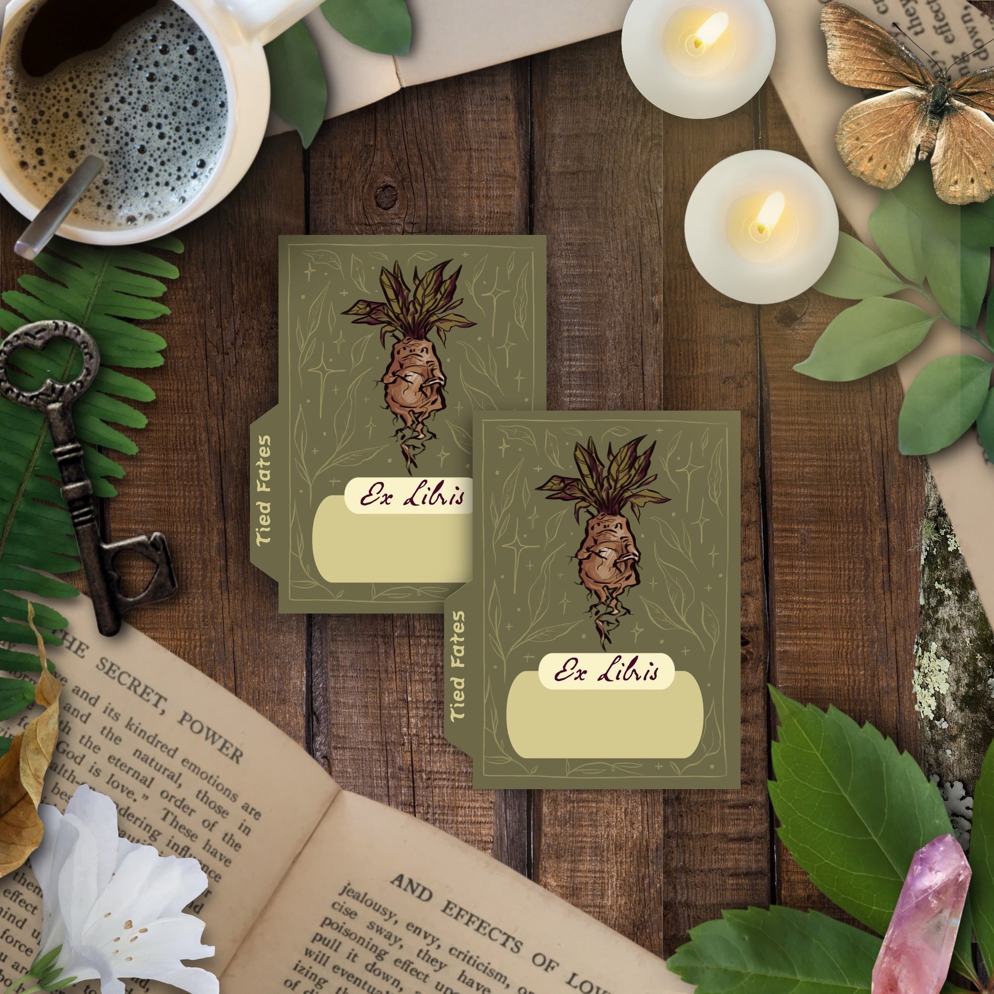 Mandrake Home Library Duo