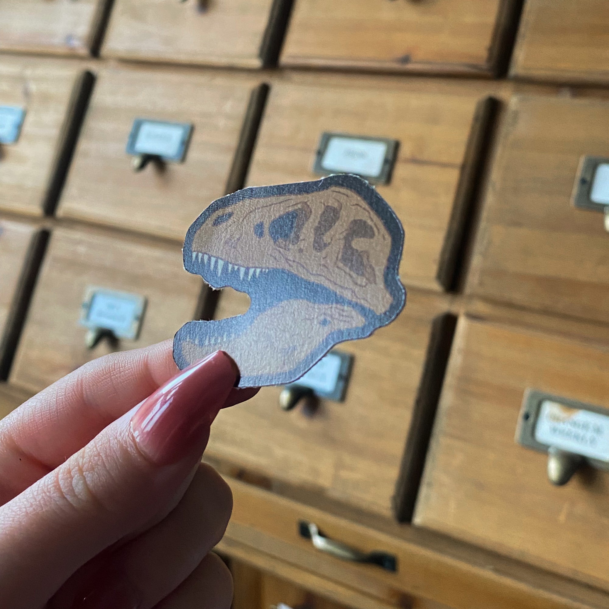 Dino Skull, Die Cut Sticker