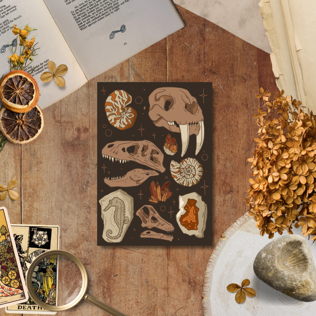 Fossils and Rocks, A5 Handmade Notebook