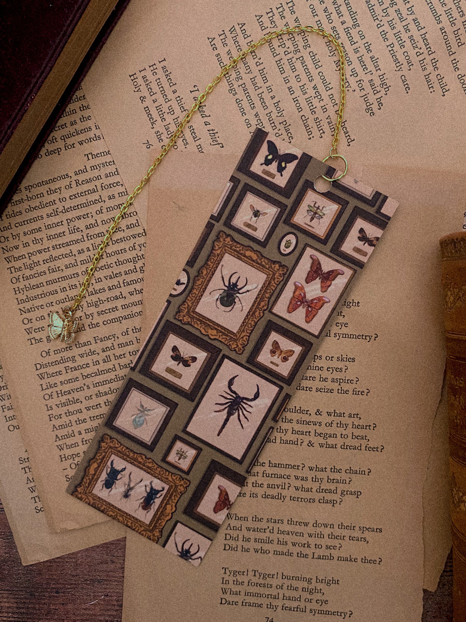 Bug Wall - Chain Bookmark