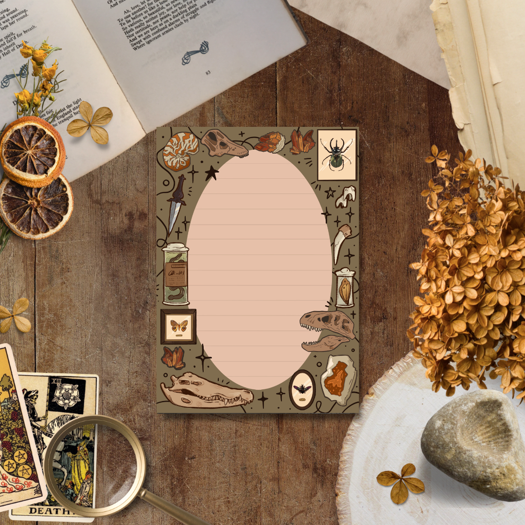 Curio Stationery Bundle
