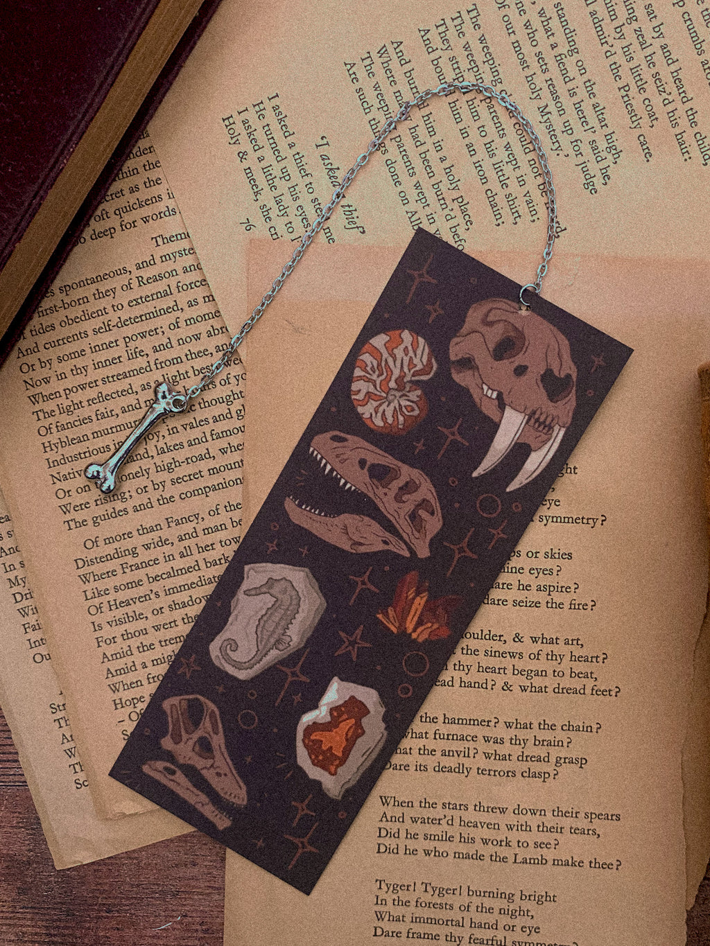 Save The Rocks Bookmark Fossils and Rocks, Chain Bookmark | Tied Fates Stationery
