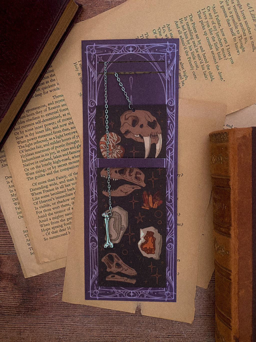 Save The Rocks Bookmark Fossils and Rocks, Chain Bookmark | Tied Fates Stationery