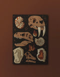 Fossils and Rocks - Softcover Notebook