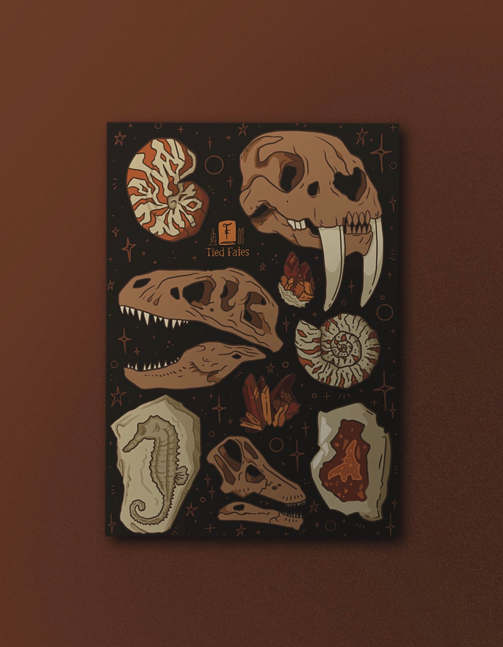 Fossils and Rocks - Softcover Notebook