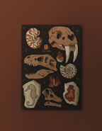 Fossils and Rocks - Softcover Notebook
