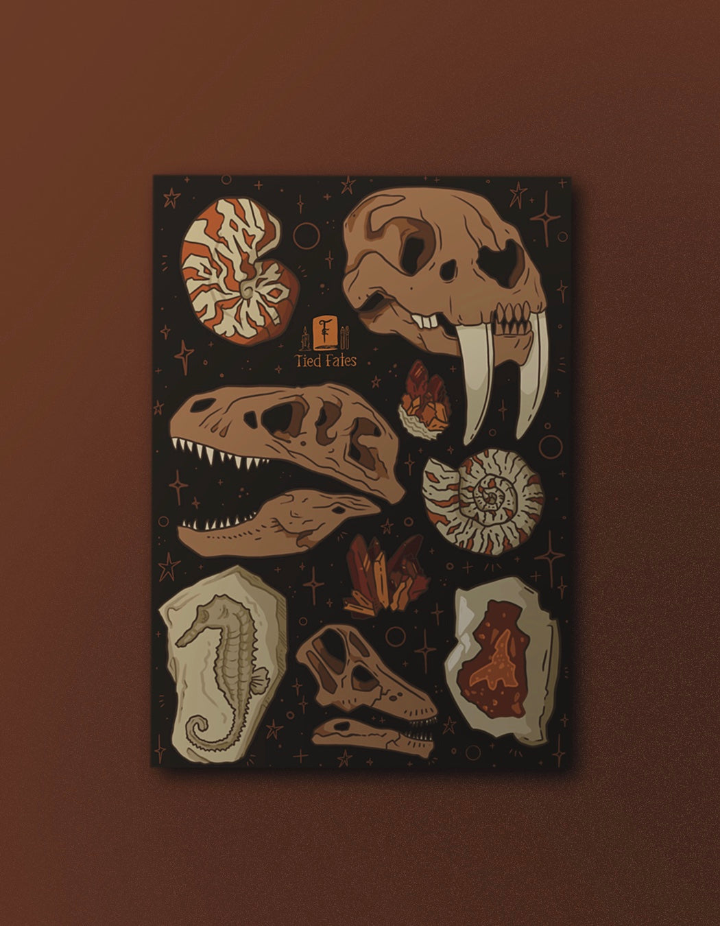 Fossils and Rocks - Softcover Notebook