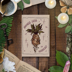 Mandrake Herbology Bundle