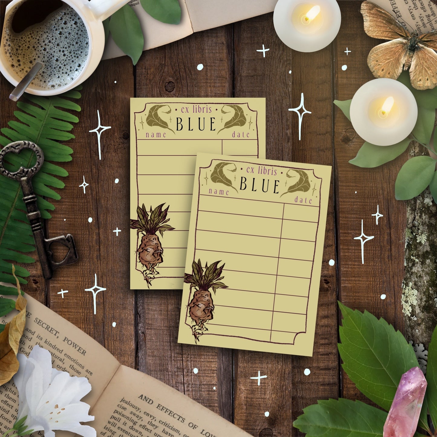 Mandrake Home Library Duo