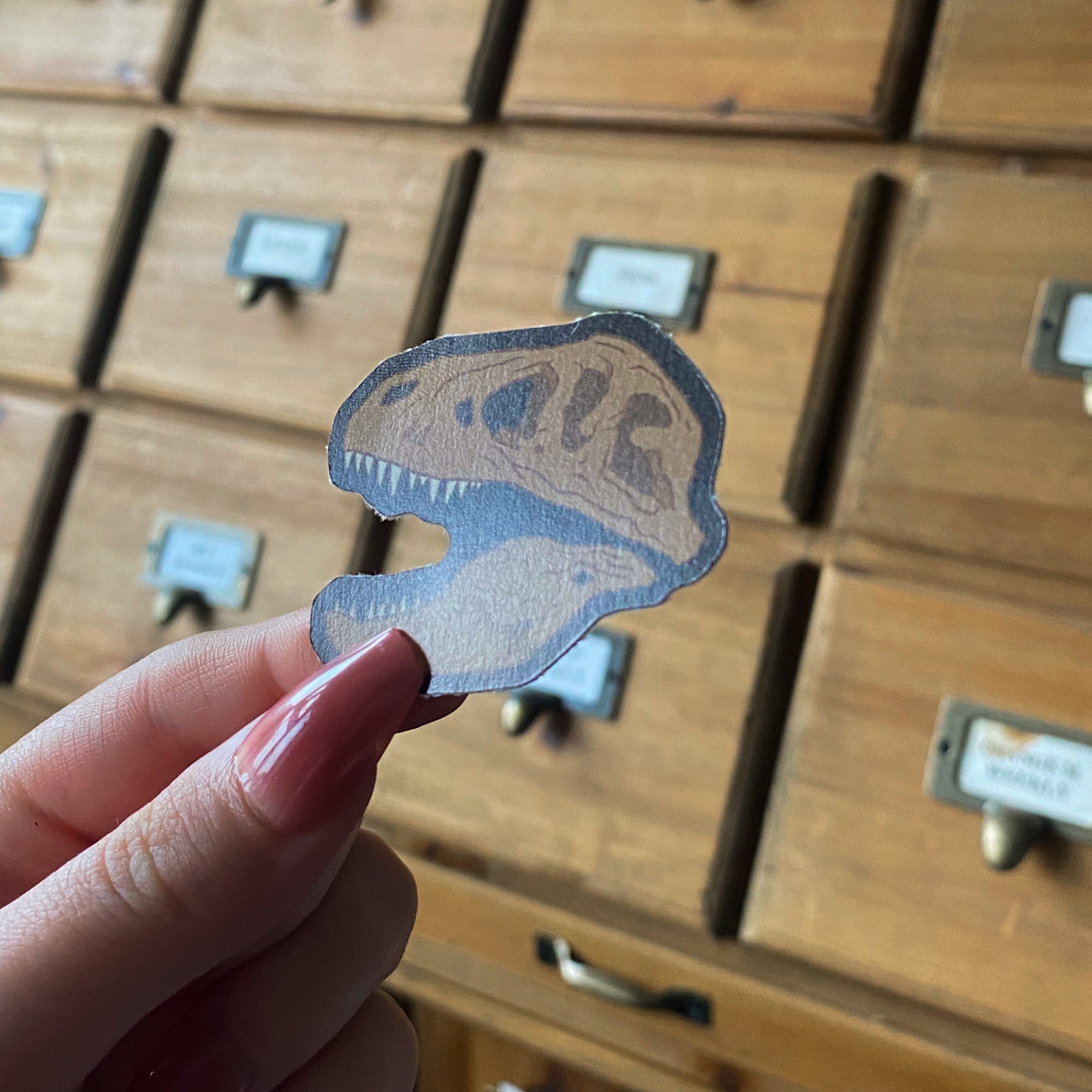 Dino Skull - Sticker