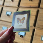 Yellow Butterfly Frame, Die Cut Sticker