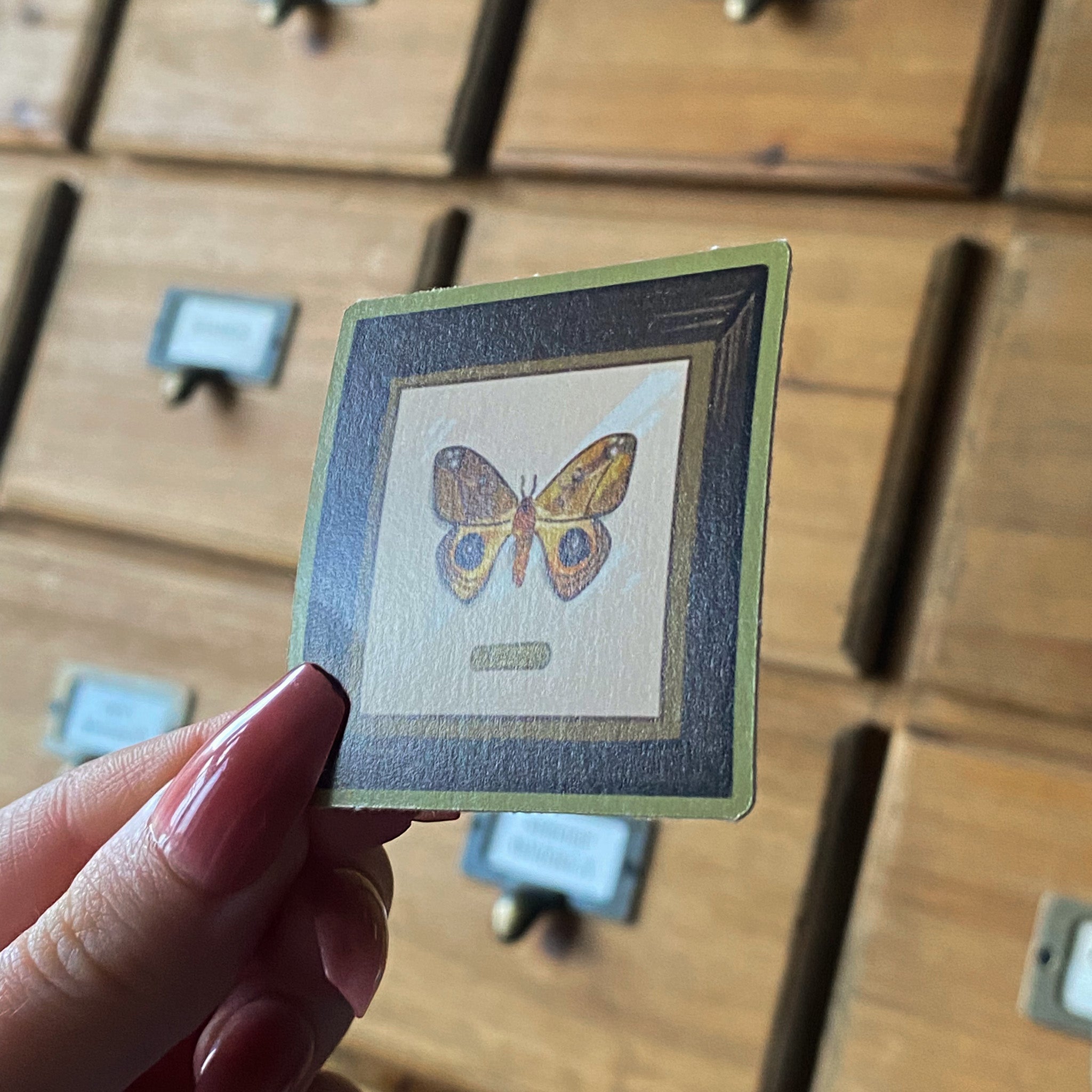 Yellow Butterfly Frame - Sticker