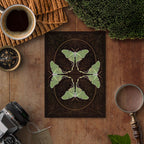 Lunar Moth, A5 Softcover Notebook