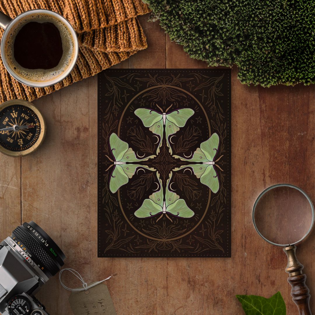 Lunar Moth, A5 Softcover Notebook