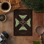 Lunar Moth, A5 Softcover Notebook