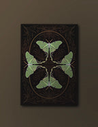 Lunar Moth - Softcover Notebook