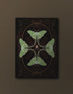 Lunar Moth - Softcover Notebook