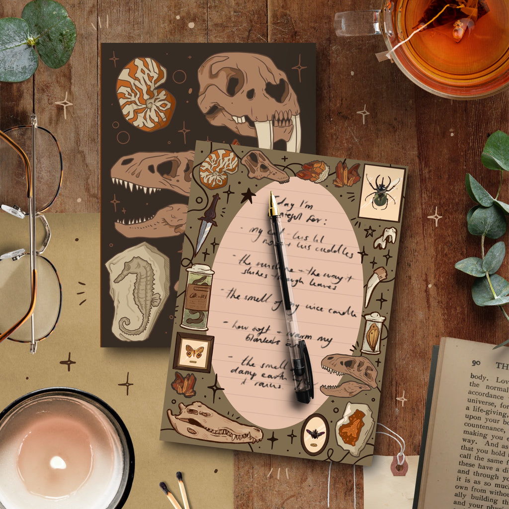 Curio Stationery Bundle
