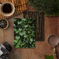 Forest Texture Illustrated Deco Papers