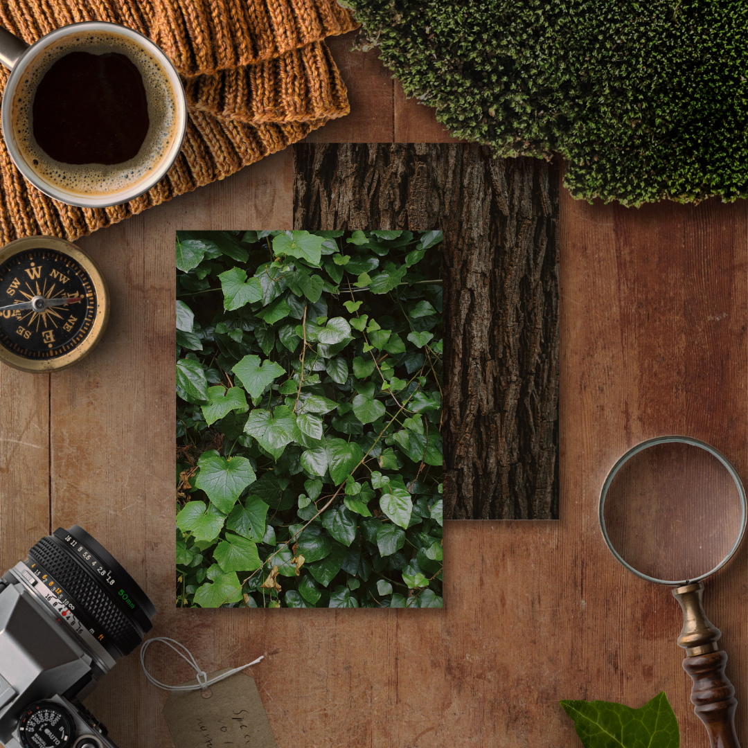 Forest Texture Illustrated Deco Papers