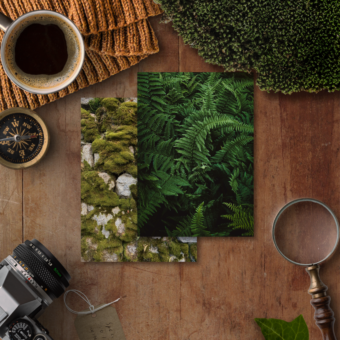 Forest Texture Illustrated Deco Papers