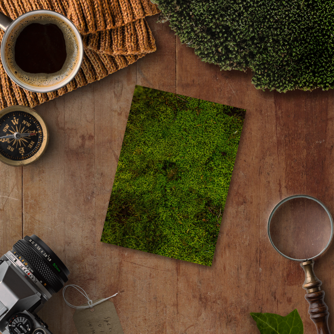 Forest Texture Illustrated Deco Papers