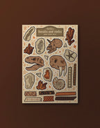 Fossils and Rocks Sticker Sheet