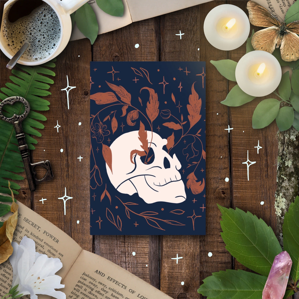 Rebirth Design Bundle