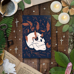 Rebirth Design Bundle