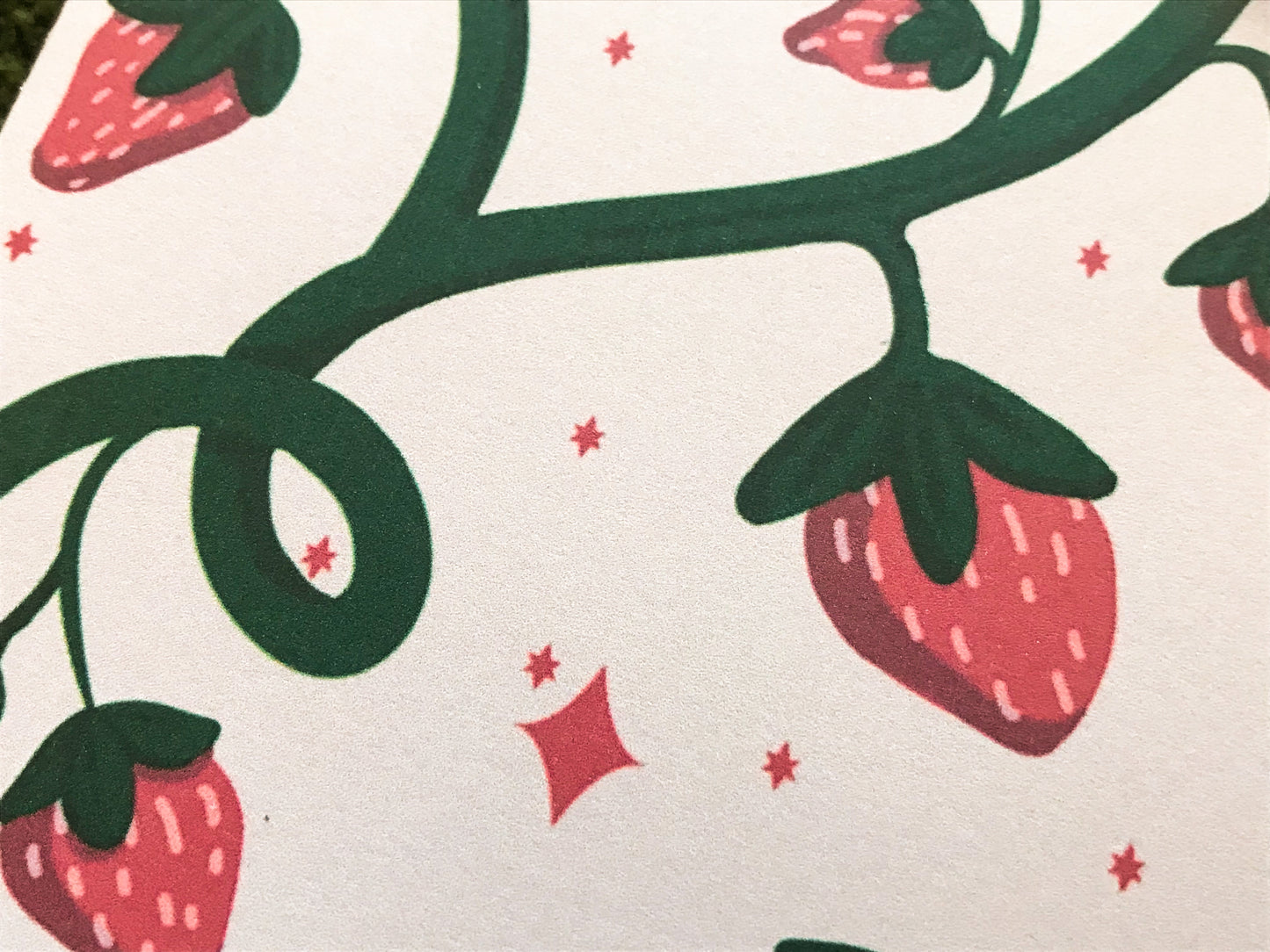 Strawberry, Pocket Journal