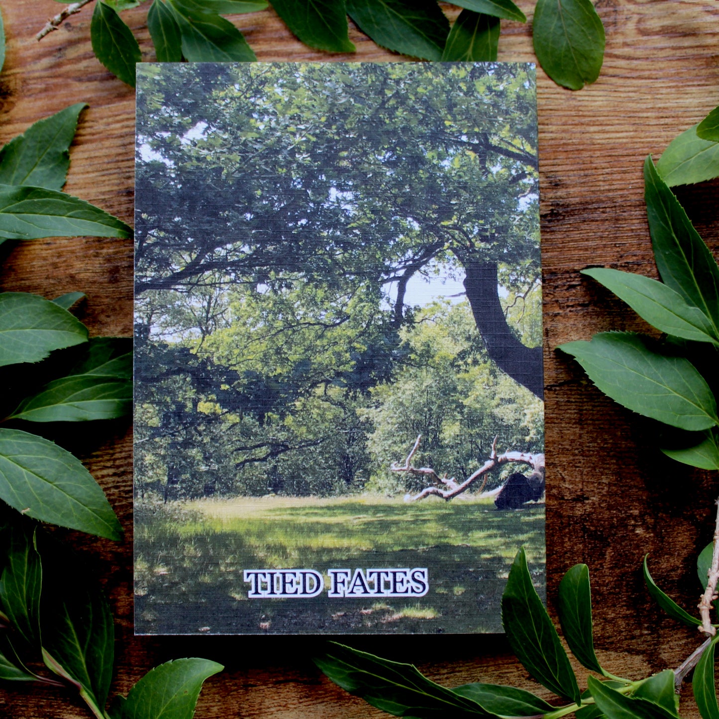 How to Get Lost in the Forest, A5 Softcover Notebook